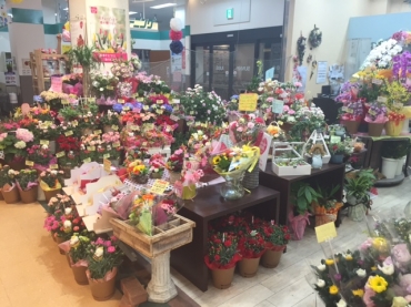 「フローリストルミ」　（高知県南国市）の花屋店舗写真1