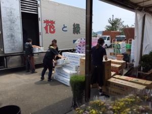 8月のお盆の花入荷｜「フローリストルミ」　（高知県南国市の花キューピット加盟店 花屋）のブログ