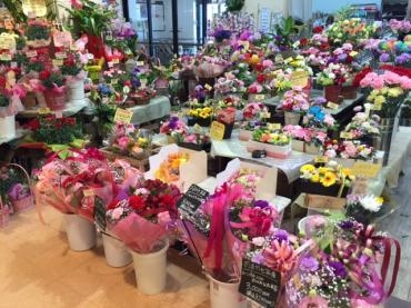 母の日 花屋ブログ 高知県南国市の花屋 フローリストルミにフラワーギフトはお任せください 当店は 安心と信頼の花キューピット加盟店です 花キューピットタウン
