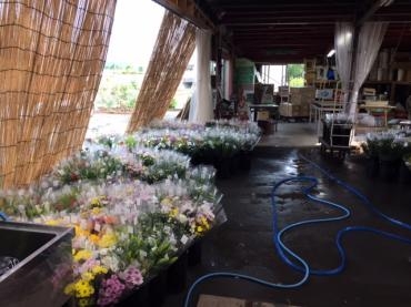 平成最後のお盆、暑い夏｜「フローリストルミ」　（高知県南国市の花キューピット加盟店 花屋）のブログ